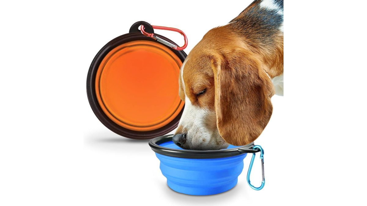SOL Collapsible Dog Bowl