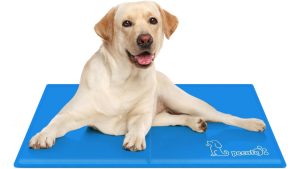 Pecute Dog Cooling Mat Review: No Freezer, No Plug, No Problem