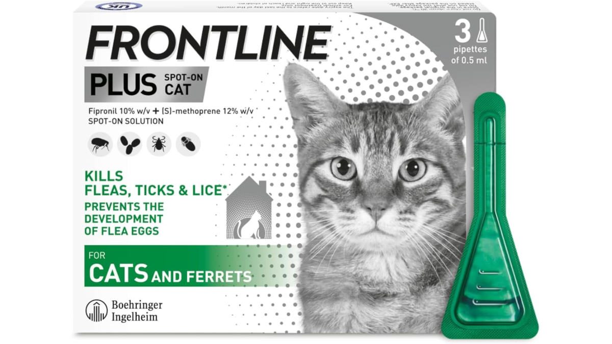 FRONTLINE Spot On for Cats and Ferrets